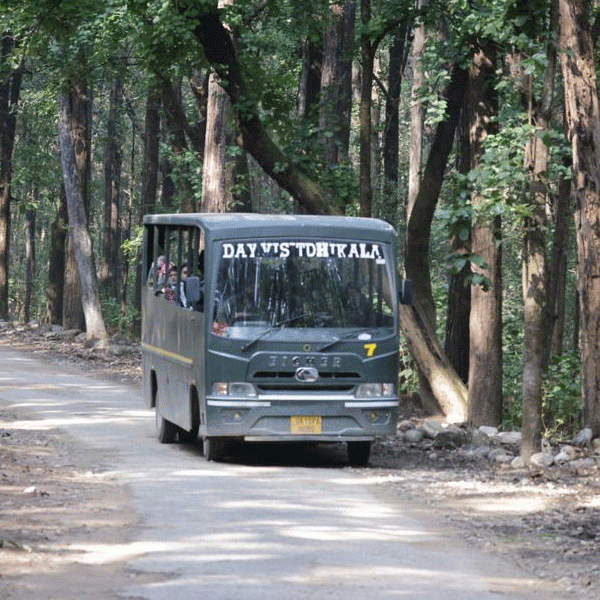 dhikala-canter-safari